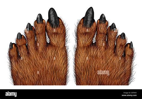 atk hairy feet